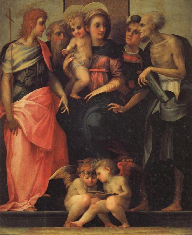 Rosso Fiorentino Madonna Enthroned with SS.John the Baptist,Anthony Abbot,Stephen,and Benedict China oil painting art